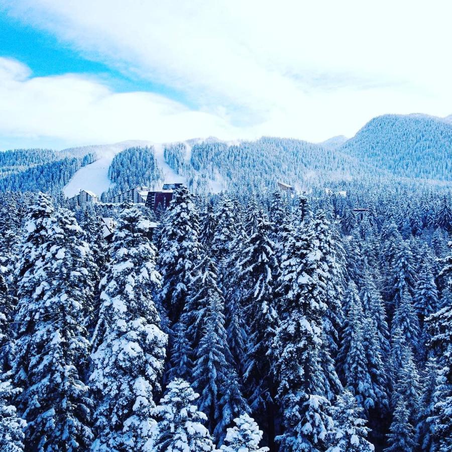 Mountain Paradise In Aparthotel Borovets Gardens Exterior photo