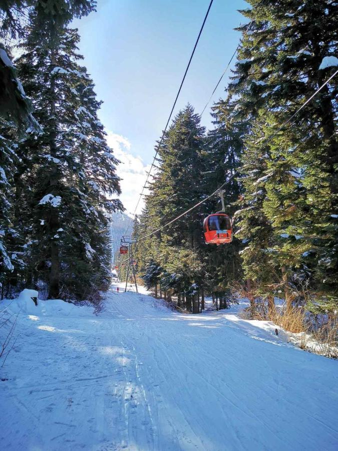 Mountain Paradise In Aparthotel Borovets Gardens Exterior photo